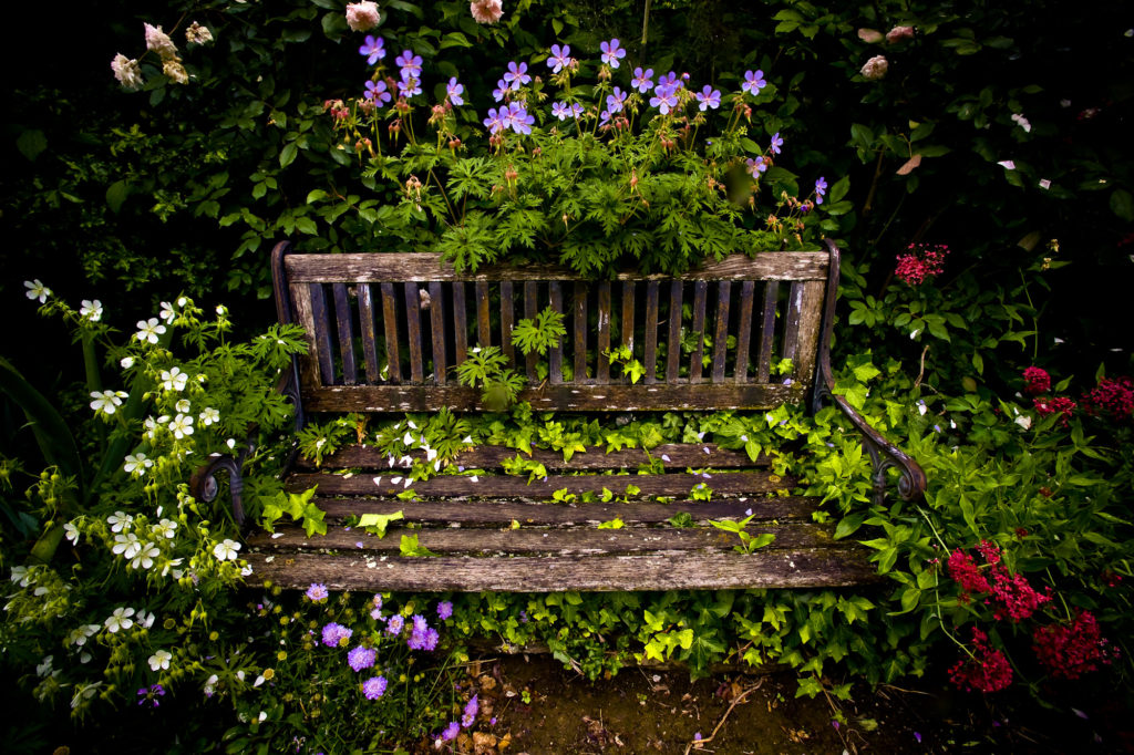 botanica, central-otago, in-the-heart-of-my-garden, new-zealand