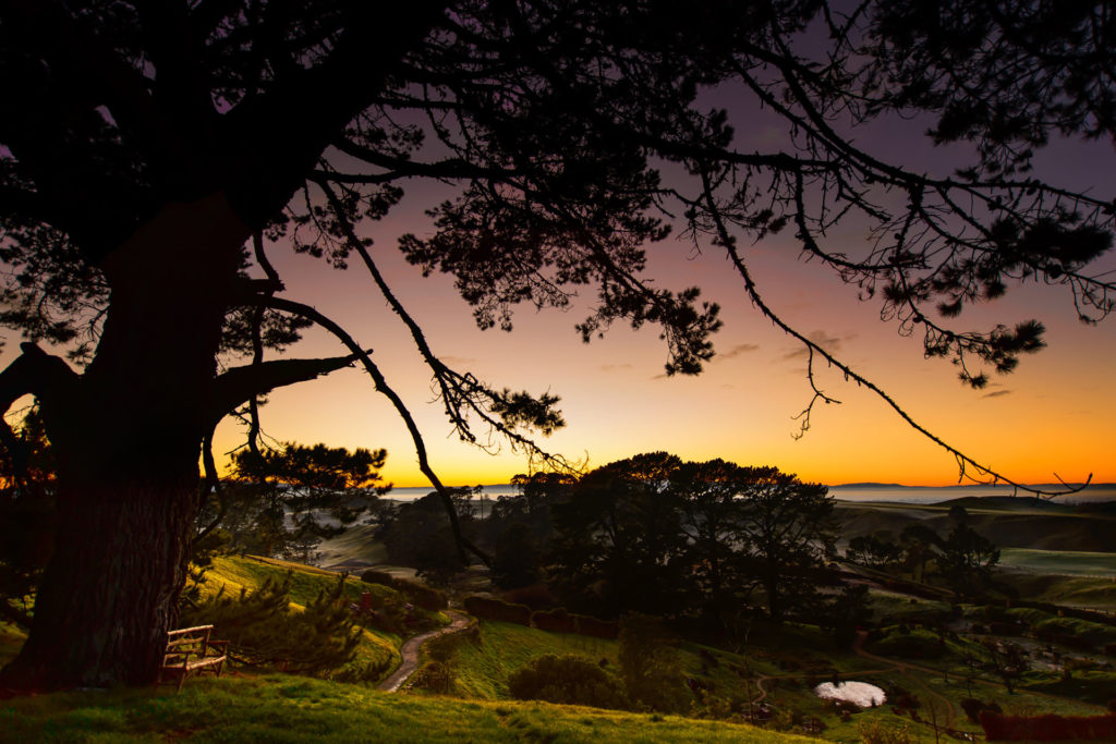 Hobbiton Movie Set