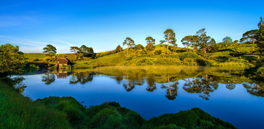 Hobbiton Movie Set