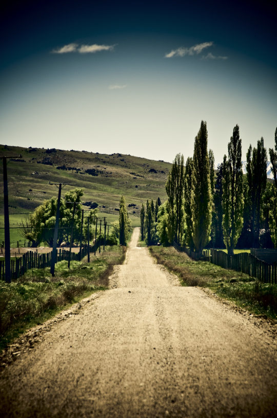 botanica, central-otago, in-the-heart-of-my-garden, new-zealand