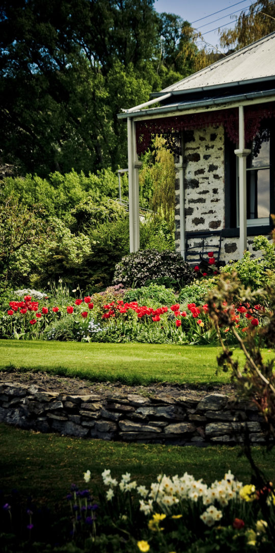 botanica, central-otago, in-the-heart-of-my-garden, new-zealand