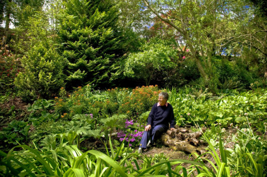 botanica, central-otago, in-the-heart-of-my-garden, new-zealand