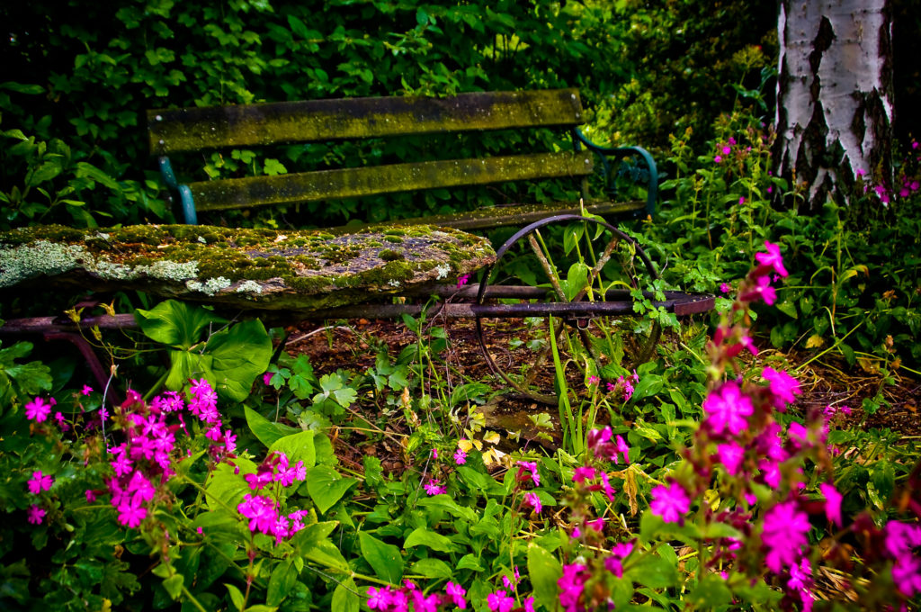 botanica, central-otago, in-the-heart-of-my-garden, new-zealand