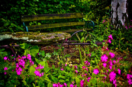 botanica, central-otago, in-the-heart-of-my-garden, new-zealand