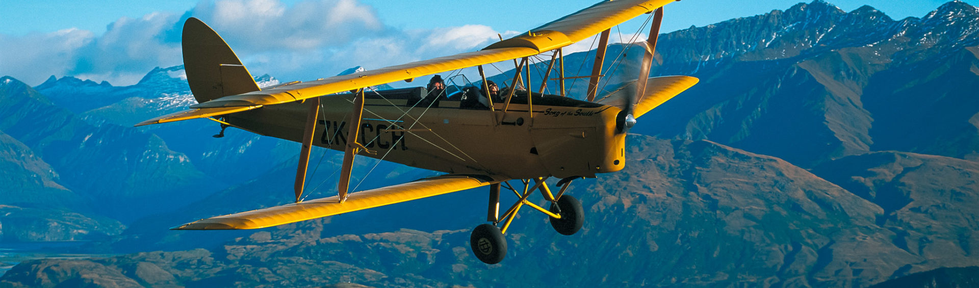 Tiger Moth