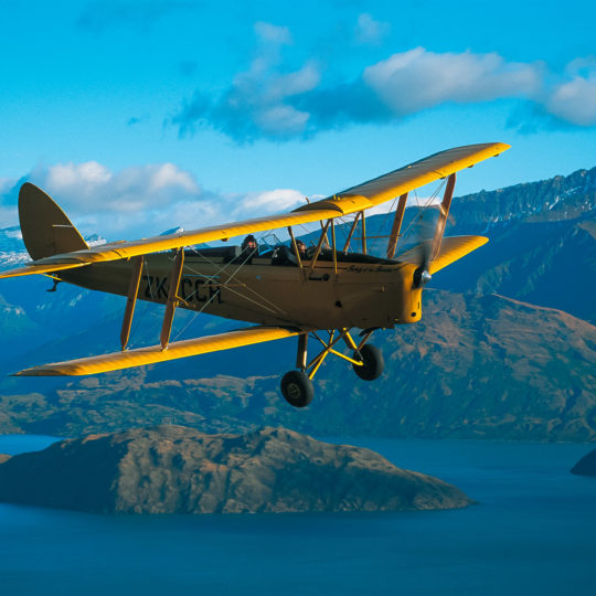 Tiger Moth