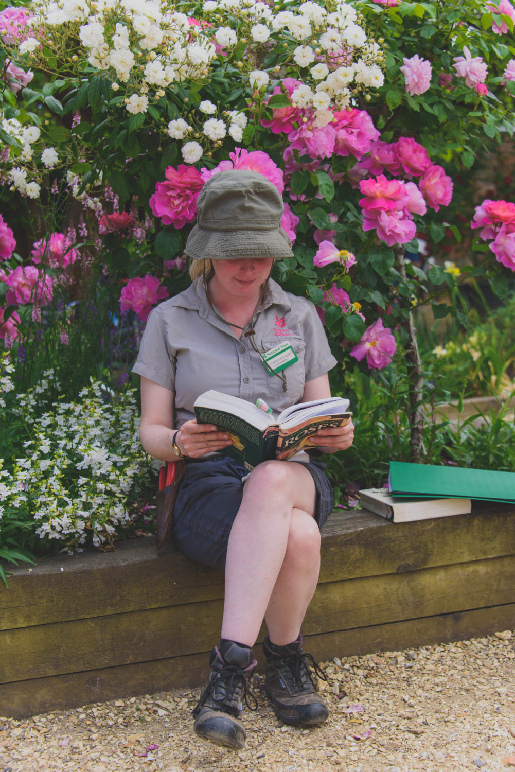 Arda, Botanica, England, Hampshire, Mottisfont, National Trust, Roses, The World