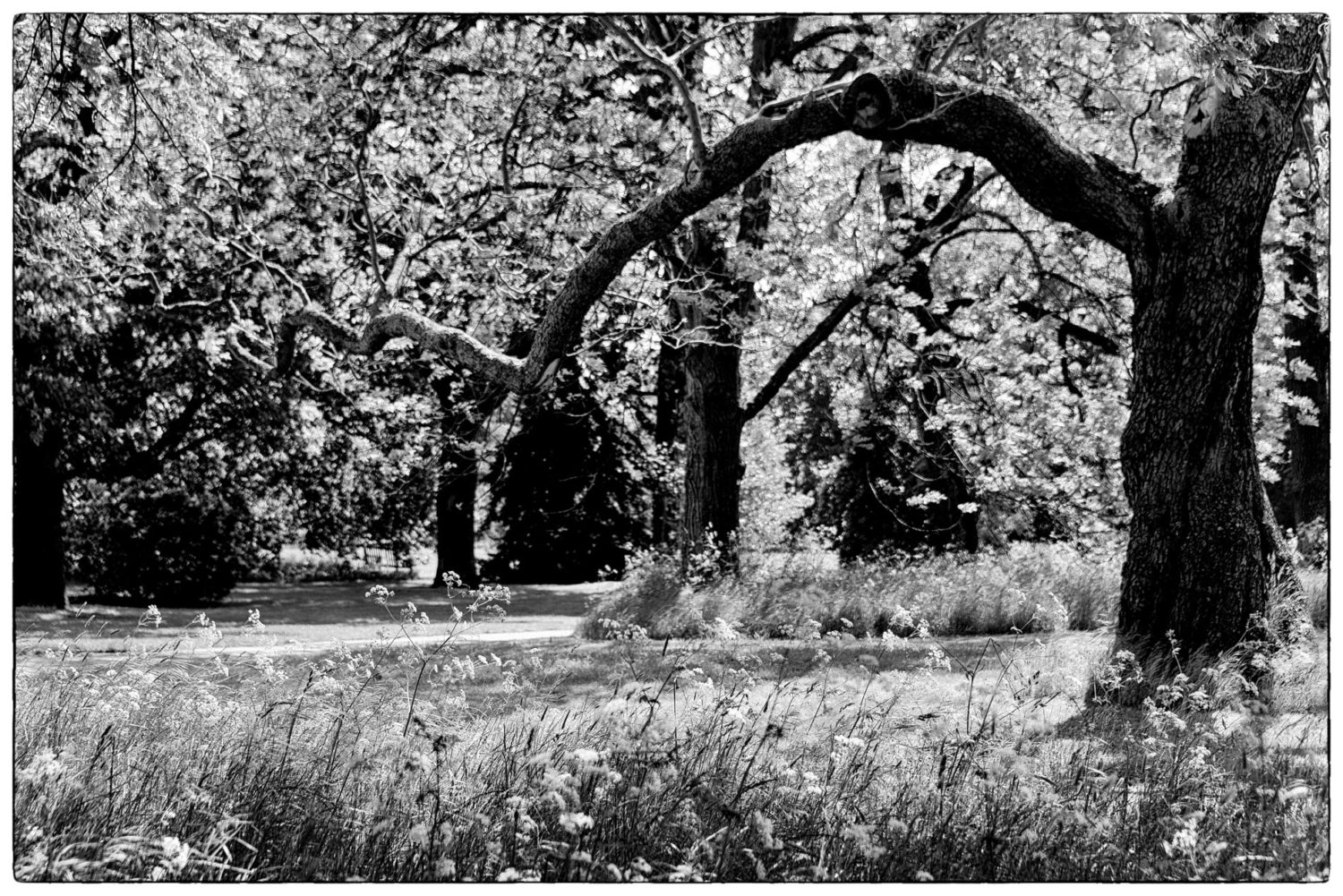 IB75543-Edit.jpg
