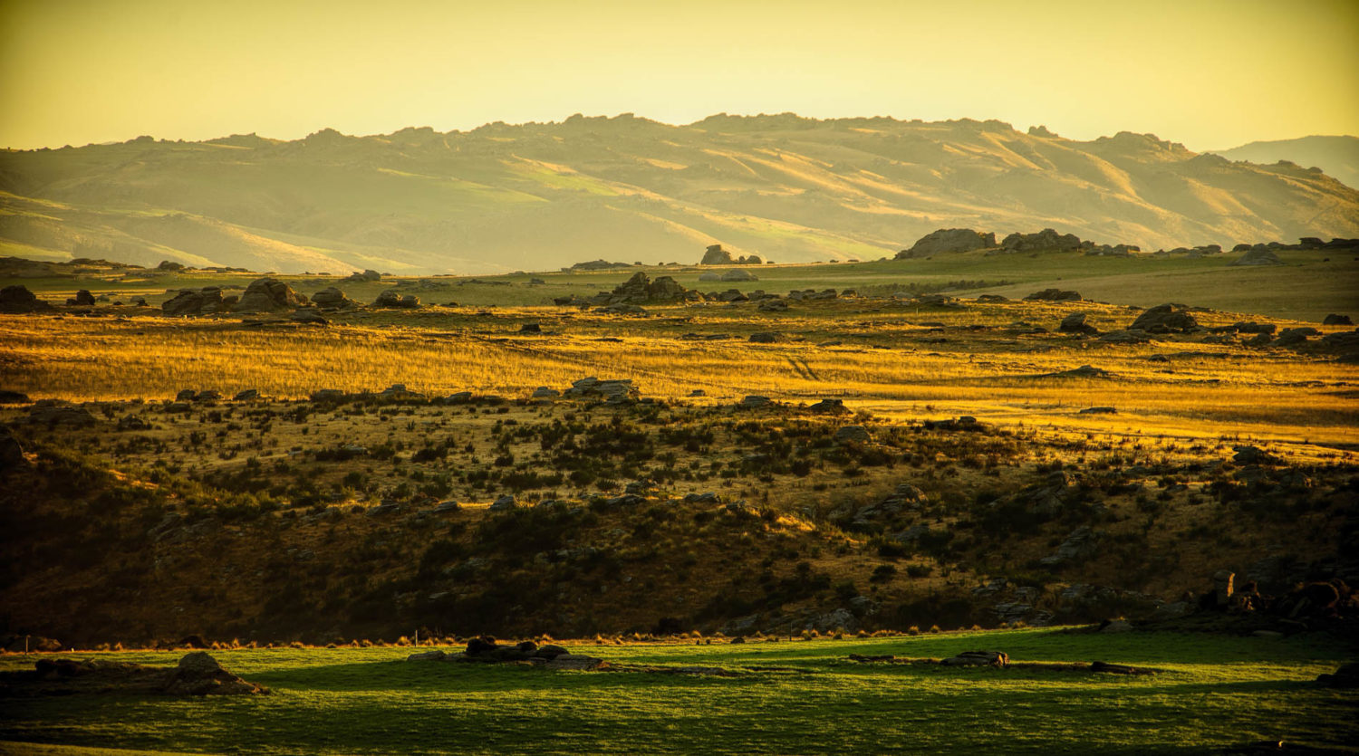 Strath Taeiri, Middlemarch, New Zealand