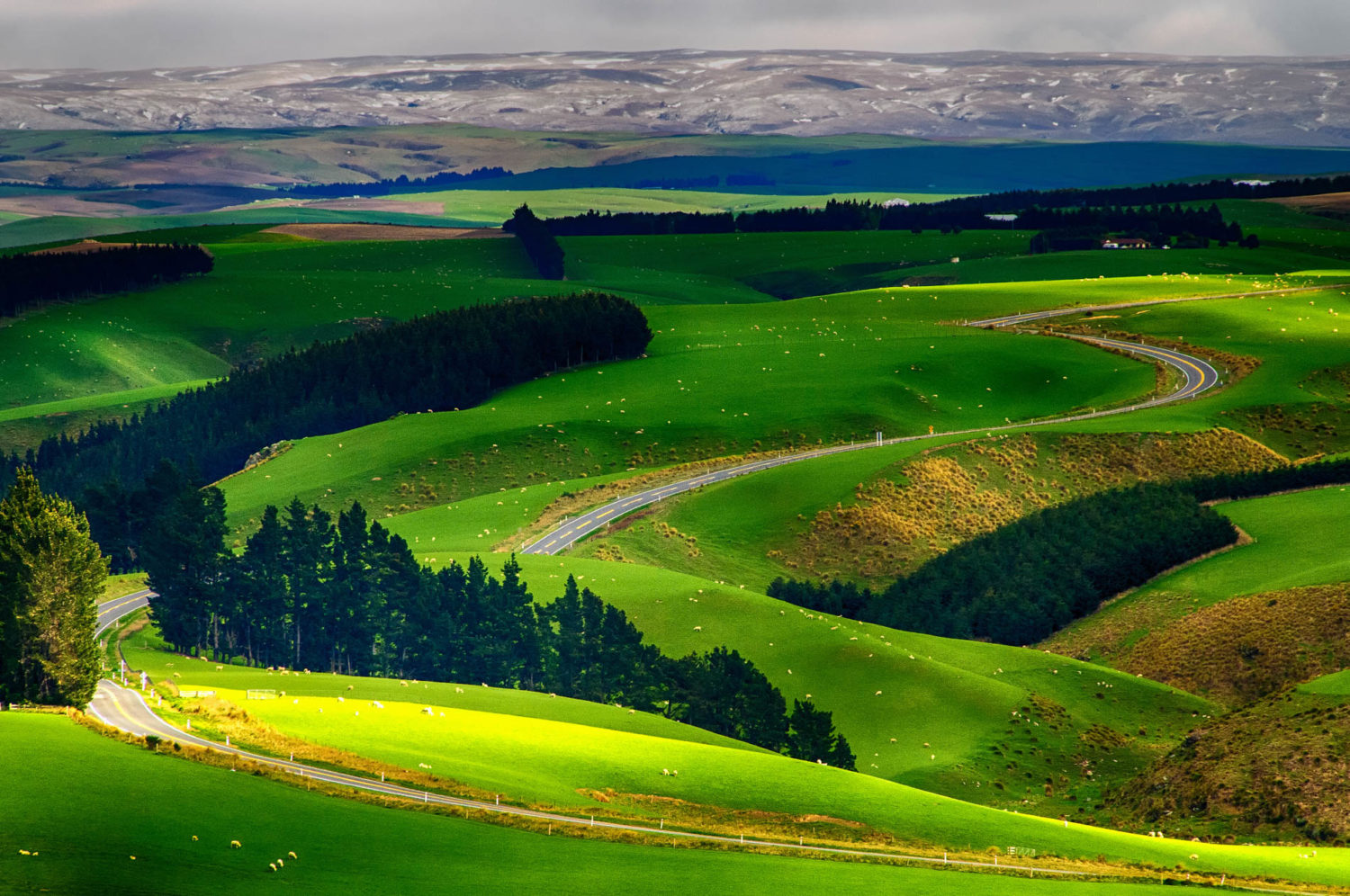 Strath Taeiri, Middlemarch, New Zealand