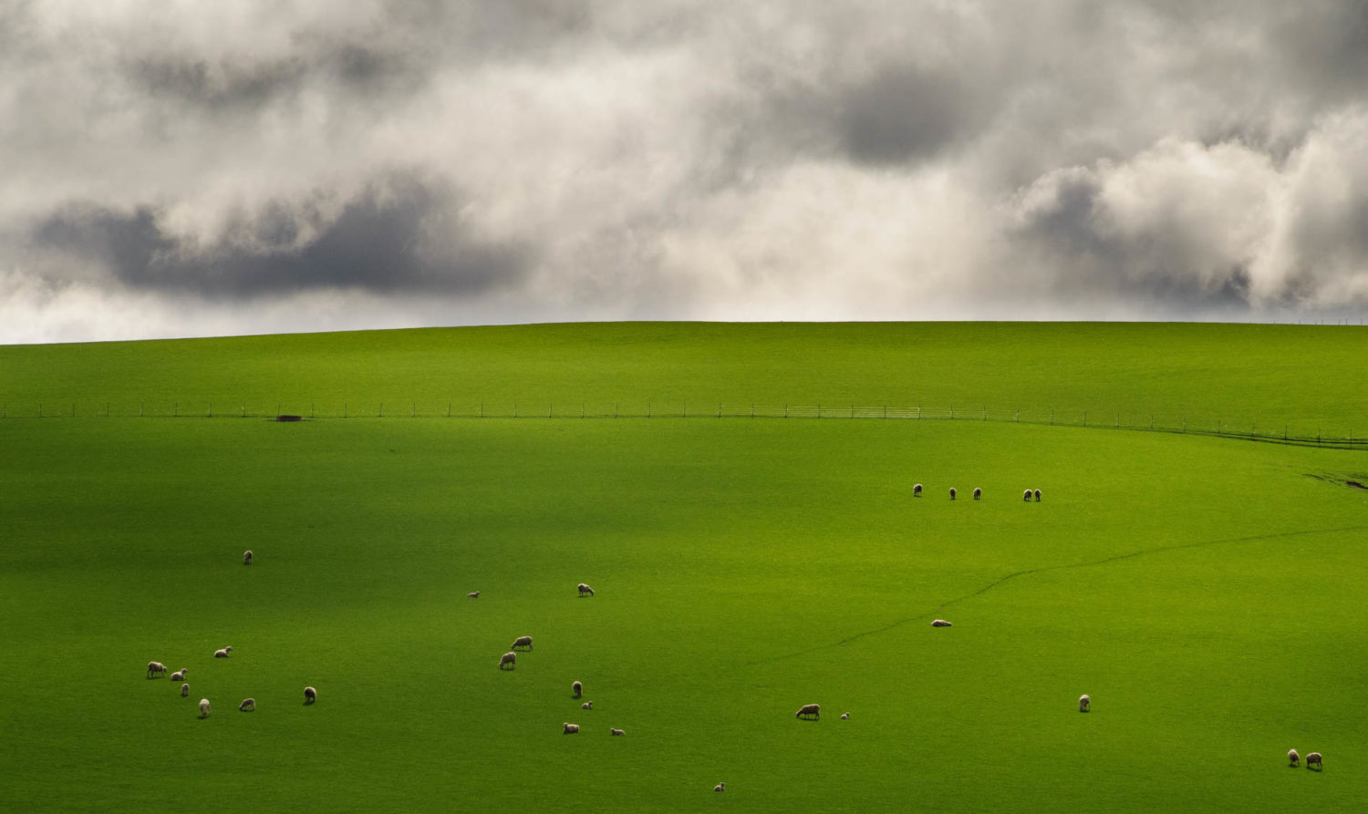 Strath Taeiri, Middlemarch, New Zealand