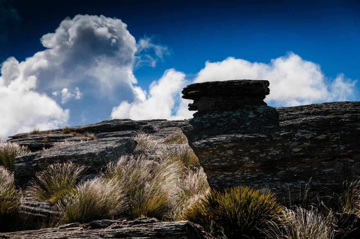 Strath Taeiri, Middlemarch, New Zealand