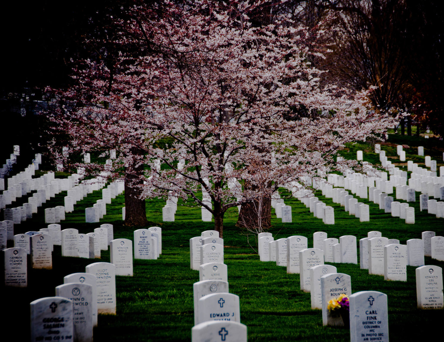 Washington DC, Smithsonian