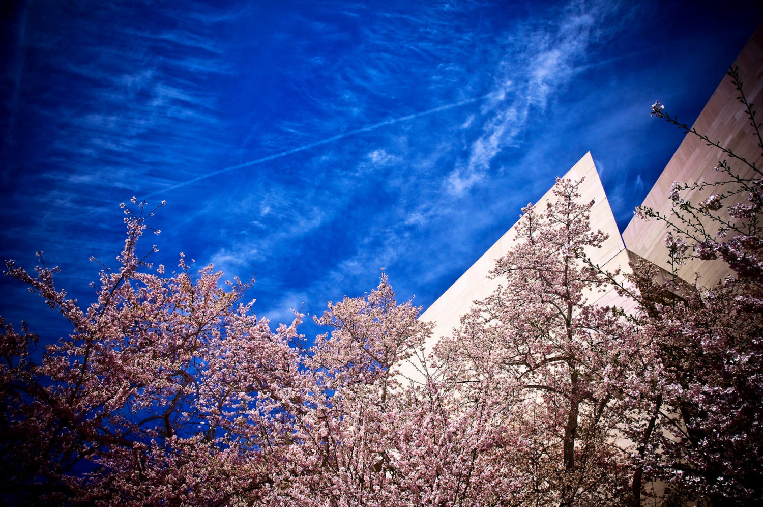 Washington DC, Smithsonian