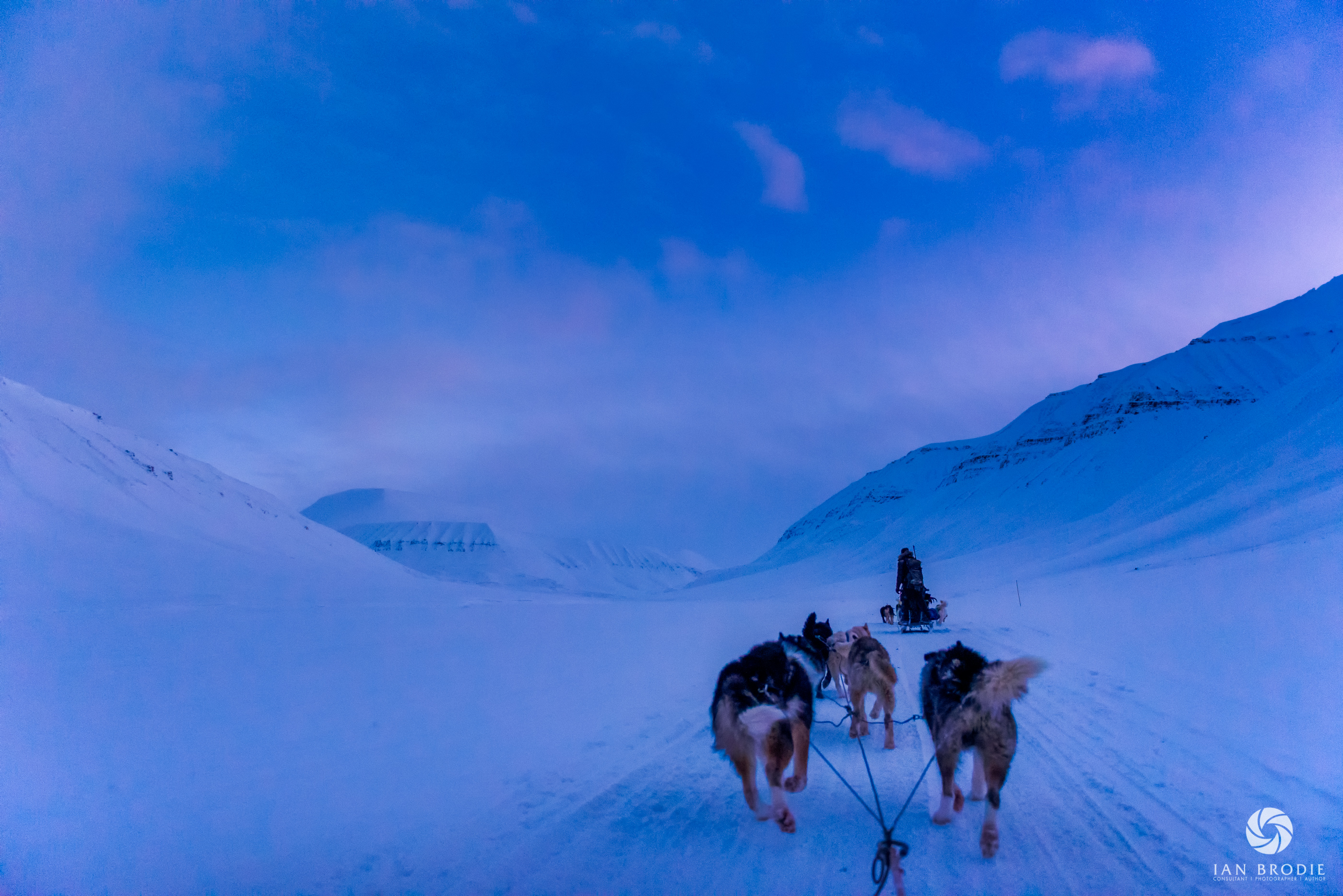 Svalbard Dog Sledding