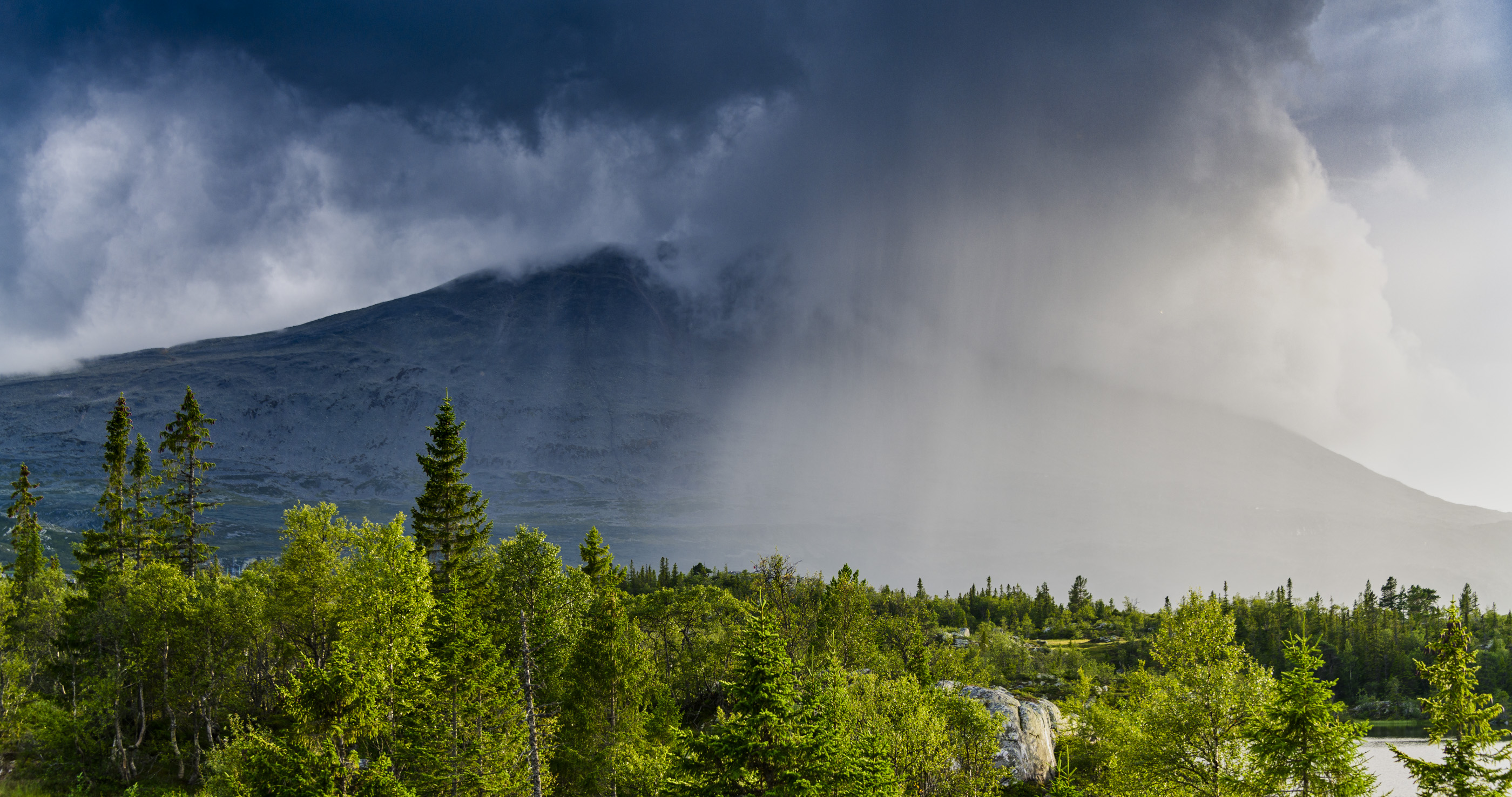 The Wild Telemark